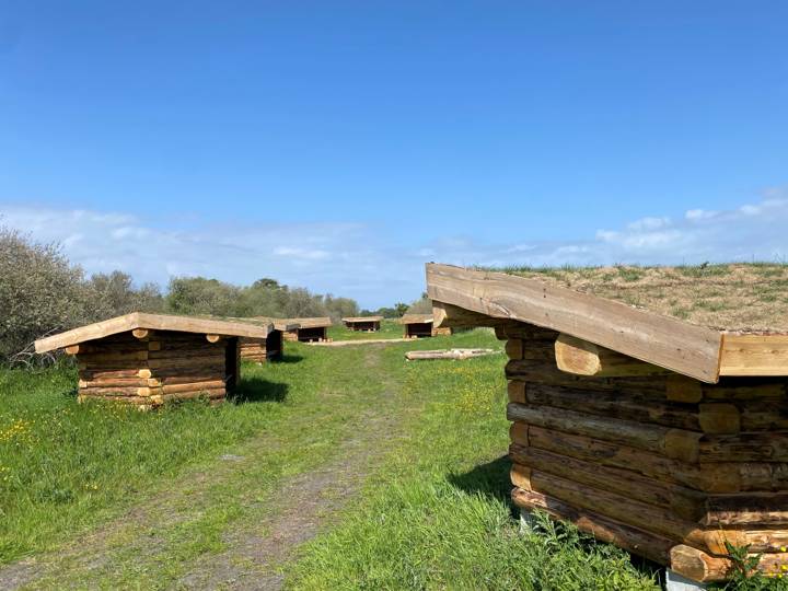 Billede af shelter Shelterplads ved Solvognens fundsted