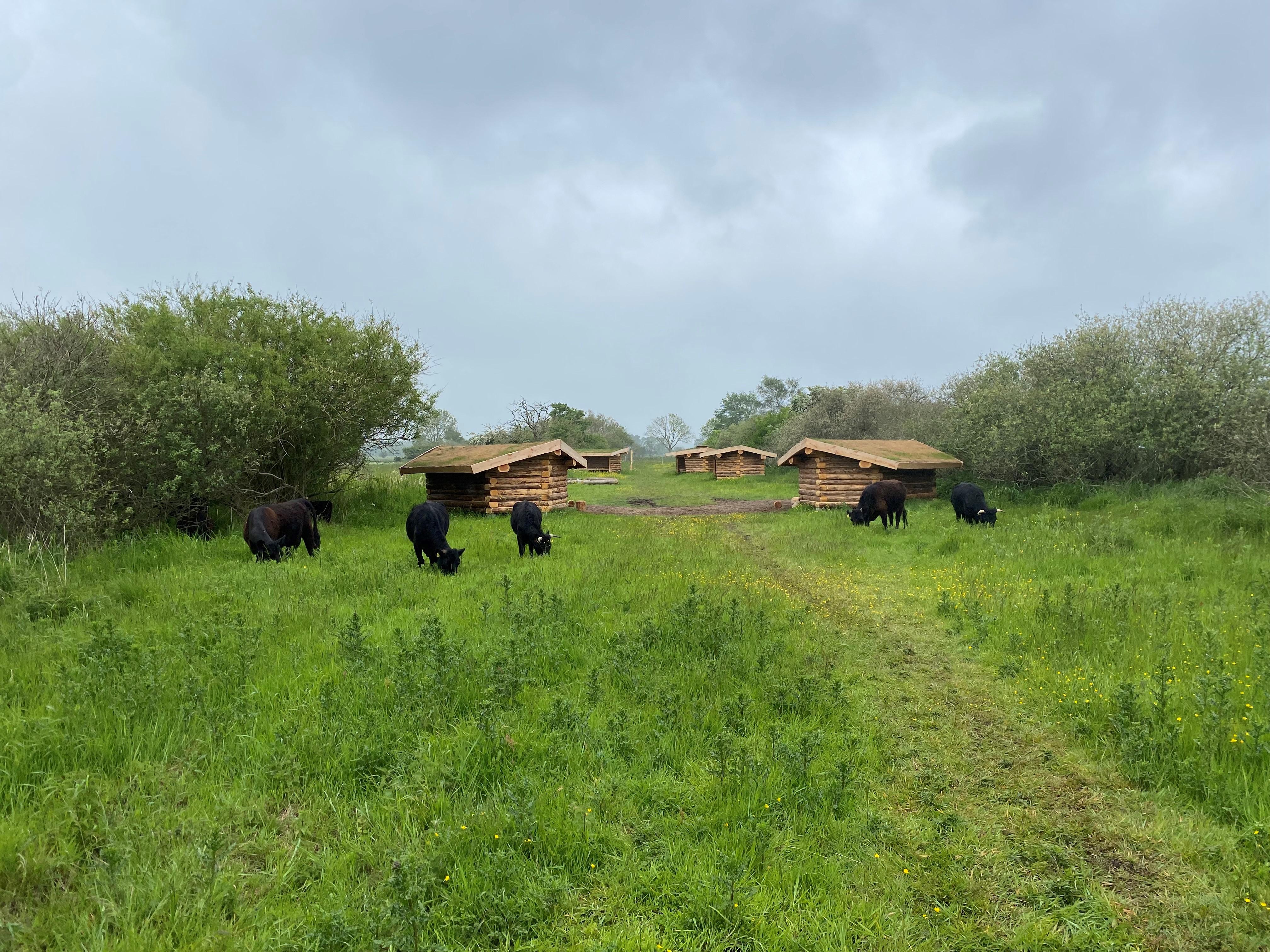 Billede af shelter Shelterplads ved Solvognens fundsted – billede 3