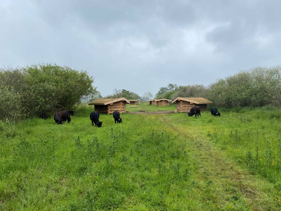 Billede af shelter Shelterplads ved Solvognens fundsted – billede 3