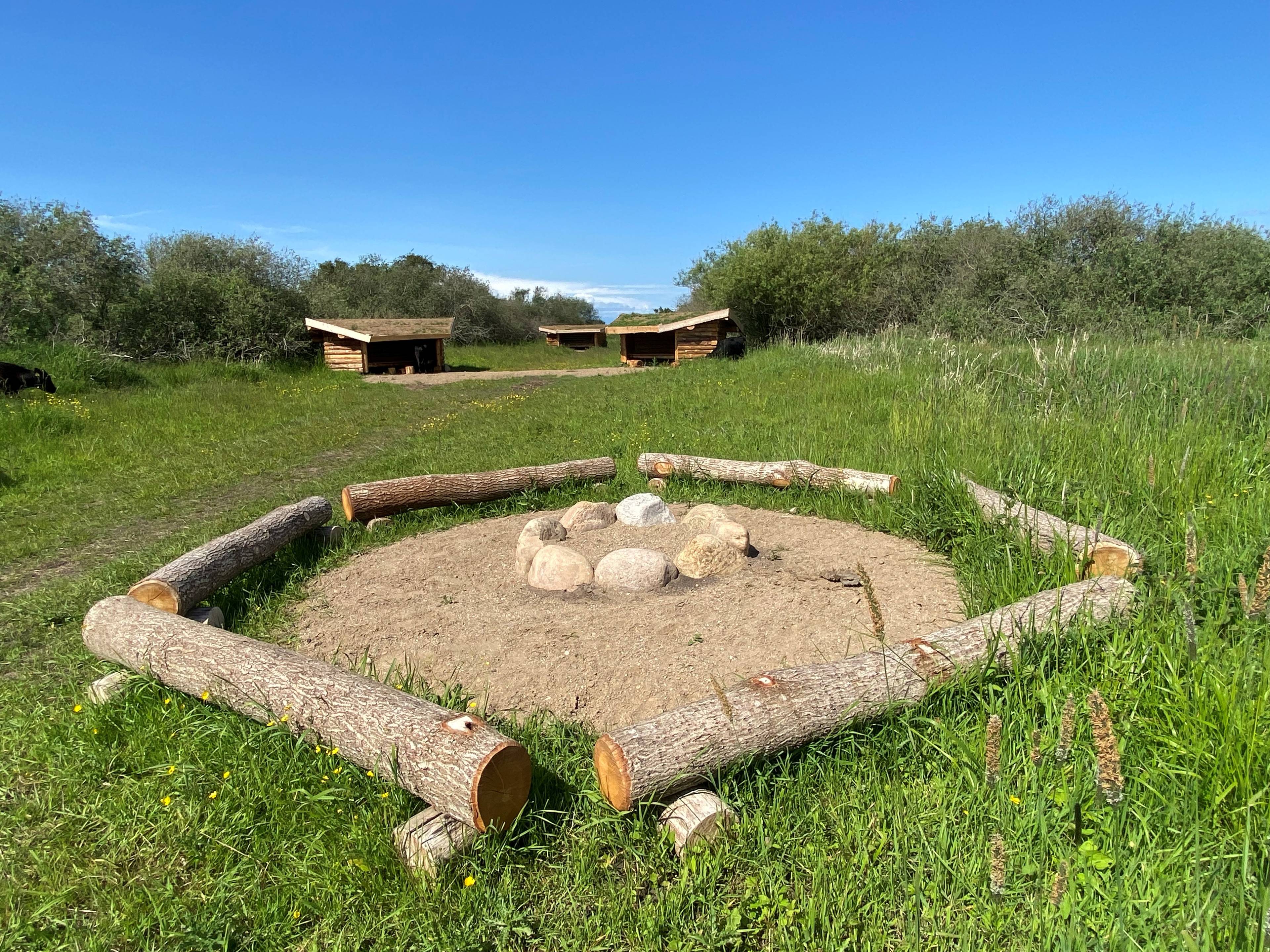 Billede af shelter Shelterplads ved Solvognens fundsted – billede 5